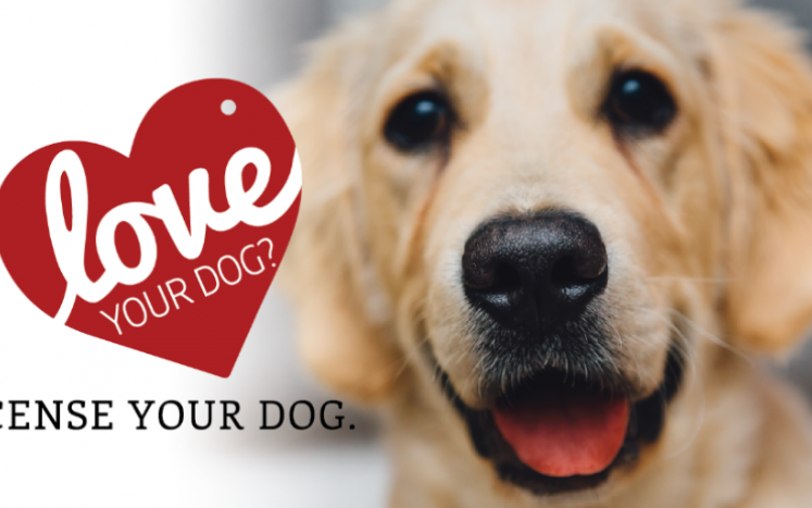 Love Your Dog - License Your Dog