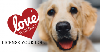 Love Your Dog - License Your Dog